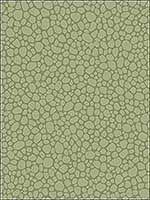 Pebble Dark Olive Wallpaper 1062026 by Cole and Son Wallpaper for sale at Wallpapers To Go