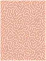 Coral Salmon Wallpaper 1065075 by Cole and Son Wallpaper for sale at Wallpapers To Go