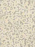 Rain Dance Stone Fabric 175391 by Schumacher Fabrics for sale at Wallpapers To Go