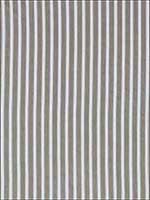 Antique Ticking Stripe Chanterelle Fabric 3475005 by Schumacher Fabrics for sale at Wallpapers To Go