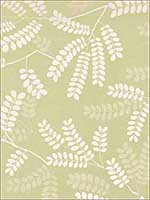 Locust Leaves Fern Fabric 62440 by Schumacher Fabrics for sale at Wallpapers To Go