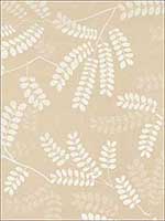 Locust Leaves Sand Fabric 62441 by Schumacher Fabrics for sale at Wallpapers To Go