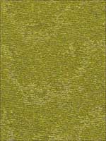 Cumulus Grass Fabric 62625 by Schumacher Fabrics for sale at Wallpapers To Go