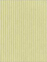 Baker Cotton Stripe Ivory Pear Sage Fabric 63001 by Schumacher Fabrics for sale at Wallpapers To Go