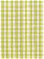Elton Cotton Check Pear Fabric 63055 by Schumacher Fabrics for sale at Wallpapers To Go