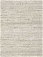 Chinon Silk Weave Moonstone Fabric 65122 by Schumacher Fabrics for sale at Wallpapers To Go