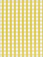 Bermuda Check Citron Fabric 68060 by Schumacher Fabrics for sale at Wallpapers To Go