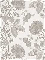 Elspeth Dove Fabric 69161 by Schumacher Fabrics for sale at Wallpapers To Go