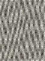 Orwell Graphite Fabric 69821 by Schumacher Fabrics for sale at Wallpapers To Go