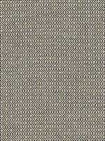 Mamet Coal Fabric 69834 by Schumacher Fabrics for sale at Wallpapers To Go