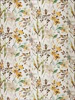 Amiliana Honey Fabric 4687702 by Vervain Fabrics for sale at Wallpapers To Go