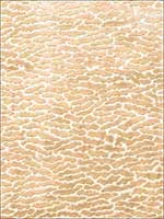 Persian Cloud River Pearl Fabric 5006401 by Vervain Fabrics for sale at Wallpapers To Go