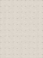 Xylo Sheer Soft Grey Fabric 5355601 by Vervain Fabrics for sale at Wallpapers To Go