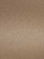 03603 Copper Fabric 5928305 by Trend Fabrics for sale at Wallpapers To Go