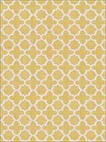 Bombay Yellow Fabric 4756504 by Stroheim Fabrics for sale at Wallpapers To Go