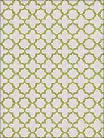 Bombay Grass Fabric 4756506 by Stroheim Fabrics for sale at Wallpapers To Go