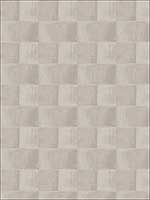 Raschera Check Silver Fabric 5368101 by Stroheim Fabrics for sale at Wallpapers To Go