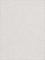 Cashel Stripe Ivory Fabric 5368301 by Stroheim Fabrics for sale at Wallpapers To Go