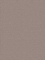 Menonita Grey Fabric 5384104 by Stroheim Fabrics for sale at Wallpapers To Go