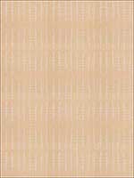 Kashta Straw Fabric 5396203 by Stroheim Fabrics for sale at Wallpapers To Go