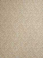 Great Barrier Pumpkin Fabric 6330602 by Stroheim Fabrics for sale at Wallpapers To Go