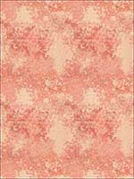 Powder Surface Coral Fabric 5009303 by S Harris Fabrics for sale at Wallpapers To Go