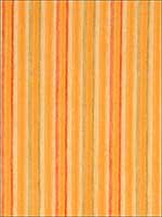 Prism Stripe Citrus Fabric 8407205 by S Harris Fabrics for sale at Wallpapers To Go