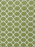 Charlotte Grass Fabric 1680404 by Fabricut Fabrics for sale at Wallpapers To Go