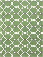 Charlotte Clover Fabric 1680405 by Fabricut Fabrics for sale at Wallpapers To Go