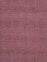 Sesame Berry Fabric 186906 by Fabricut Fabrics for sale at Wallpapers To Go