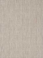 Belize Grey Fabric 248902 by Fabricut Fabrics for sale at Wallpapers To Go