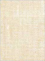 Clifton Papyrus Fabric 3644829 by Fabricut Fabrics for sale at Wallpapers To Go