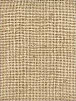 Clifton Seagrass Fabric 3644823 by Fabricut Fabrics for sale at Wallpapers To Go