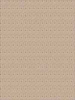 Jazz Age Almond Fabric 5086803 by Fabricut Fabrics for sale at Wallpapers To Go