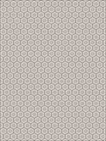 Penia Taupe Fabric 5473402 by Fabricut Fabrics for sale at Wallpapers To Go