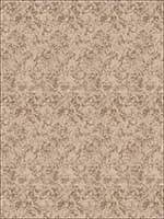 Moody Edge Fawn Fabric 5783201 by Fabricut Fabrics for sale at Wallpapers To Go