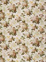 York Chestnut Fabric 5768501 by Fabricut Fabrics for sale at Wallpapers To Go