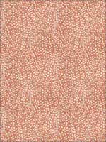 Ferrara Coral Fabric 5770501 by Fabricut Fabrics for sale at Wallpapers To Go