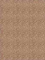 Cougar Toffee Fabric 5801501 by Fabricut Fabrics for sale at Wallpapers To Go