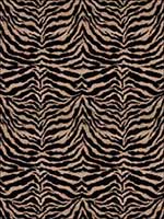 Tigress Too Ebony Fabric 5785803 by Fabricut Fabrics for sale at Wallpapers To Go