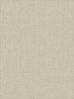 Metallic Grasscloth Look Textured Wallpaper OY34706 by Paper and Ink Wallpaper for sale at Wallpapers To Go