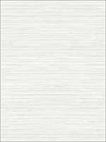 Metallic Grasscloth Look Textured Wallpaper OY35007 by Paper and Ink Wallpaper for sale at Wallpapers To Go
