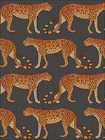 Leopard Walk Charcoal And Orange Wallpaper 1092008 by Cole and Son Wallpaper for sale at Wallpapers To Go