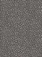 Senzo Spot Black And White Wallpaper 1096031 by Cole and Son Wallpaper for sale at Wallpapers To Go