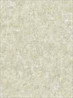 Nouveau Stucco Chestnut Wallpaper AR31802 by Wallquest Wallpaper for sale at Wallpapers To Go