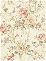 Antiqued Rose Peachy Wallpaper MV80401 by Wallquest Wallpaper for sale at Wallpapers To Go
