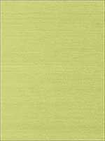 Shang Extra Fine Sisal Green Wallpaper T41181 by Thibaut Wallpaper for sale at Wallpapers To Go