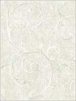 Scroll Wallpaper FI71604 by Seabrook Wallpaper for sale at Wallpapers To Go