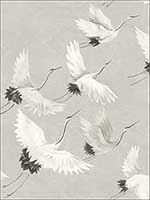 Windsong Grey Crane Wallpaper 276424304 by A Street Prints Wallpaper for sale at Wallpapers To Go