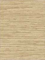Grasscloth Wallpaper NT33704 by Patton Norwall Wallpaper for sale at Wallpapers To Go